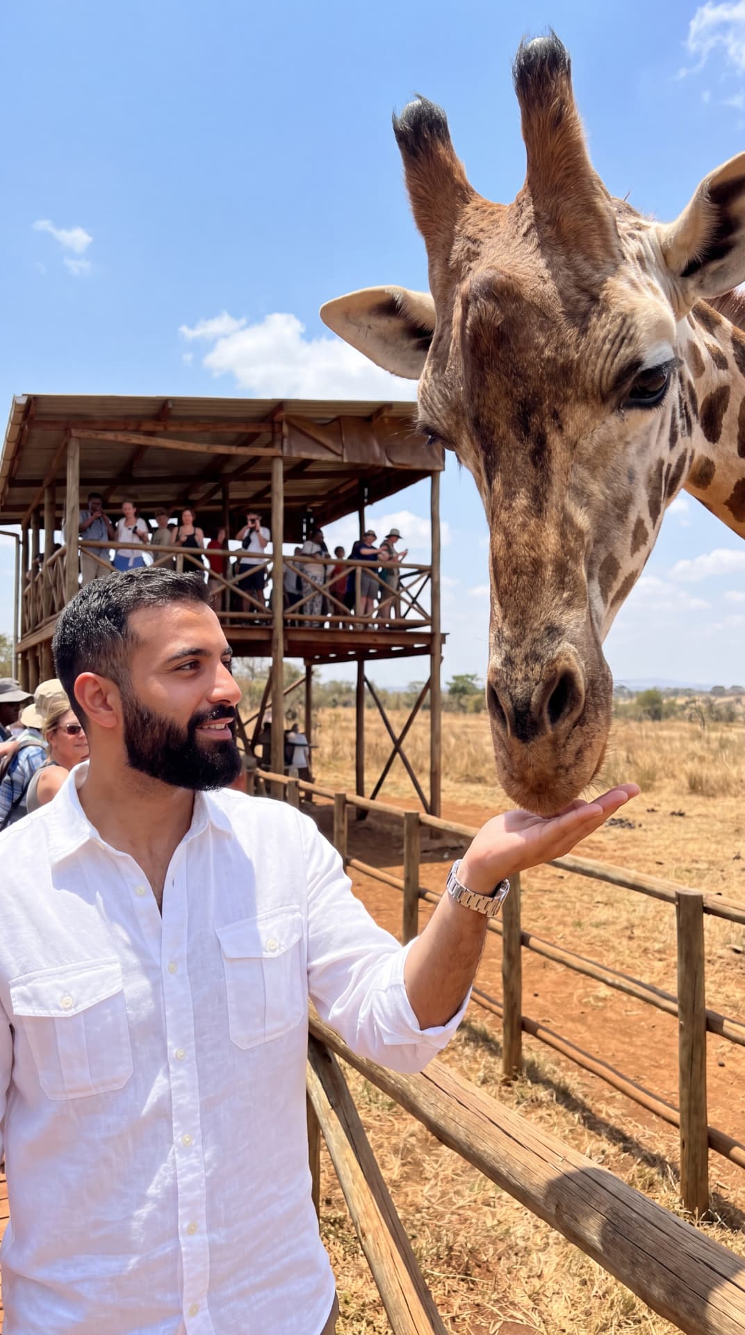 Creator feeding a giraffe on safari